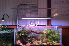AQUASCAPING WITH THE RED ROCKS AND PLANTING – 20 G LONG RIMLESS AQUARIUM
