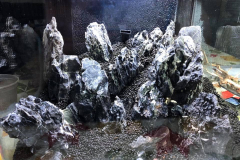 6.8-g-cube aquascaping for IAPLC