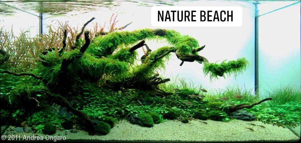 Natural-aquasape-with-beach