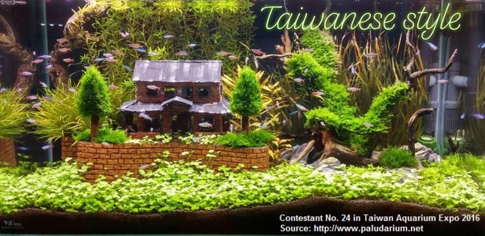 Taiwanese-style-aquascaping-2