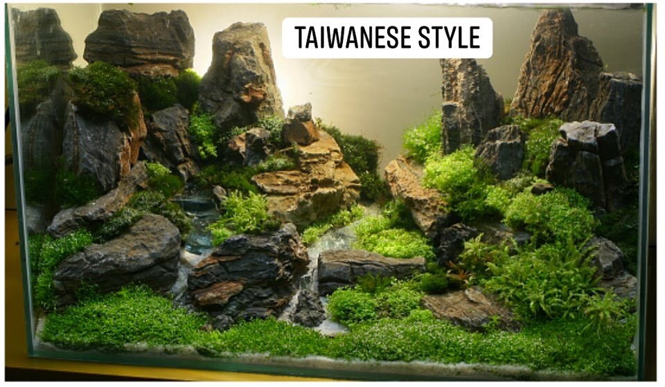 Taiwanese-style-aquascaping-4