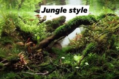 Jungle-style-2