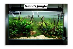 Jungle-style-Islands