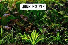 Jungle-style