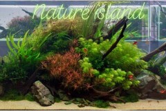 Natural-aquasape-middle-island