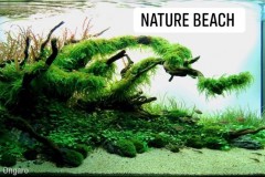Natural-aquasape-with-beach