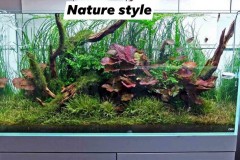 Nature-aquascape-red-lotus