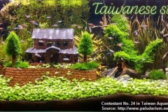 Taiwanese-style-aquascaping-2