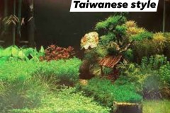 Taiwanese-style-aquascaping-3