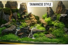 Taiwanese-style-aquascaping-4