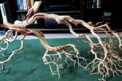 manzanita-wood