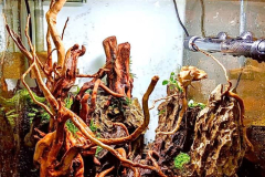 87445405_857271728032291_9167610317537017856_n