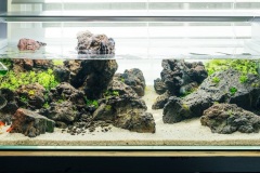 1_Black-Lava-Rocks-aquascape
