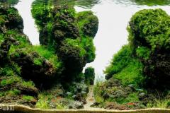 BLACK-LAVA-ROCKS