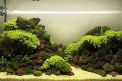 Black-Lava-Rocks-aquascape-2