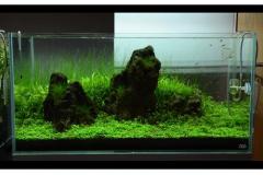 Black-Lava-Rocks_