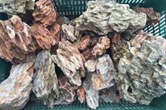 DRAGON-STONES-1