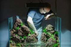 LAVA-ROCKS-AQUASCAPE