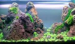 Red-Lava-rocks-aquascape